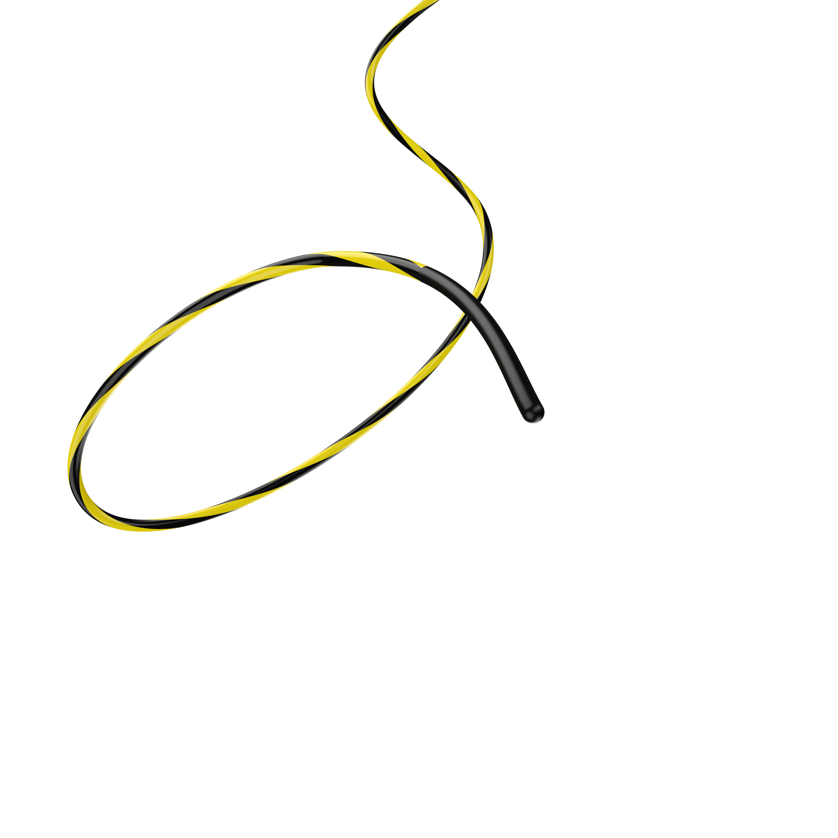 Vision Delux™ ERCP Guidewire
