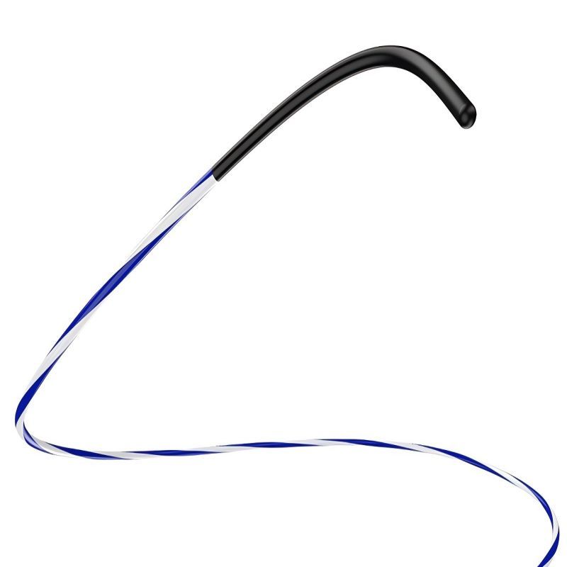 Vision™ Zebra Guidewires for Urinary Tract