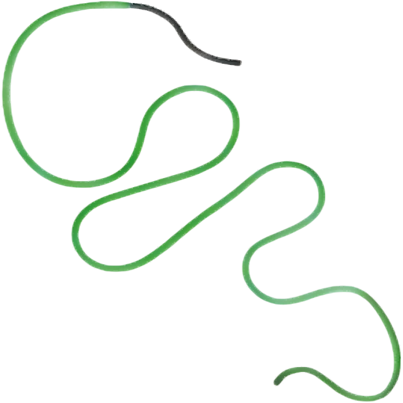 Cyber™ Sensor Guidewires