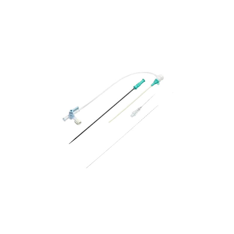 Sheath Introducer